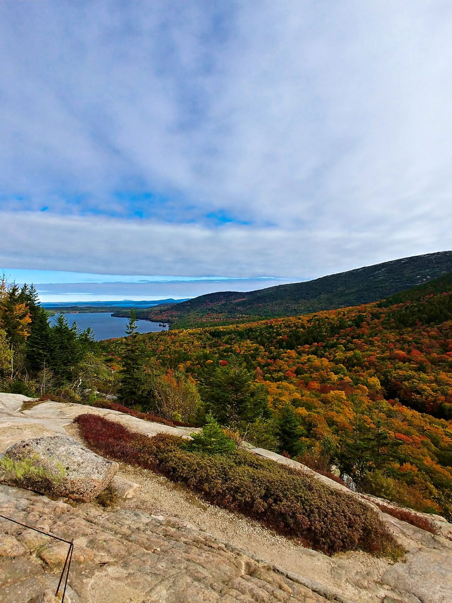 a path with trees on the side of a mountain