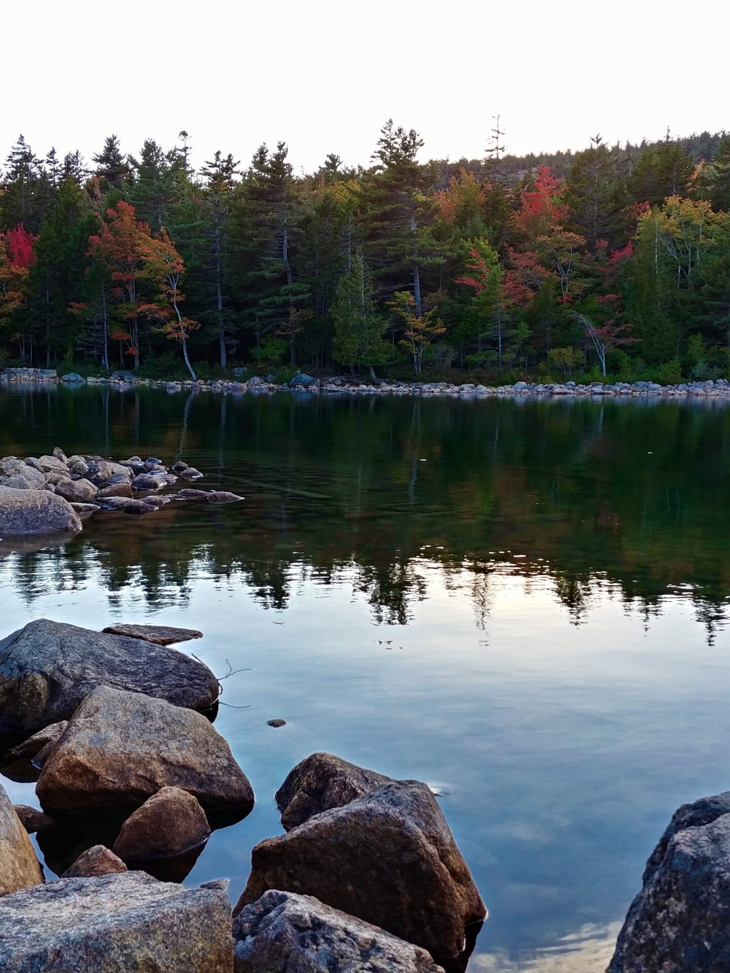 a lake with a reflection of trees
