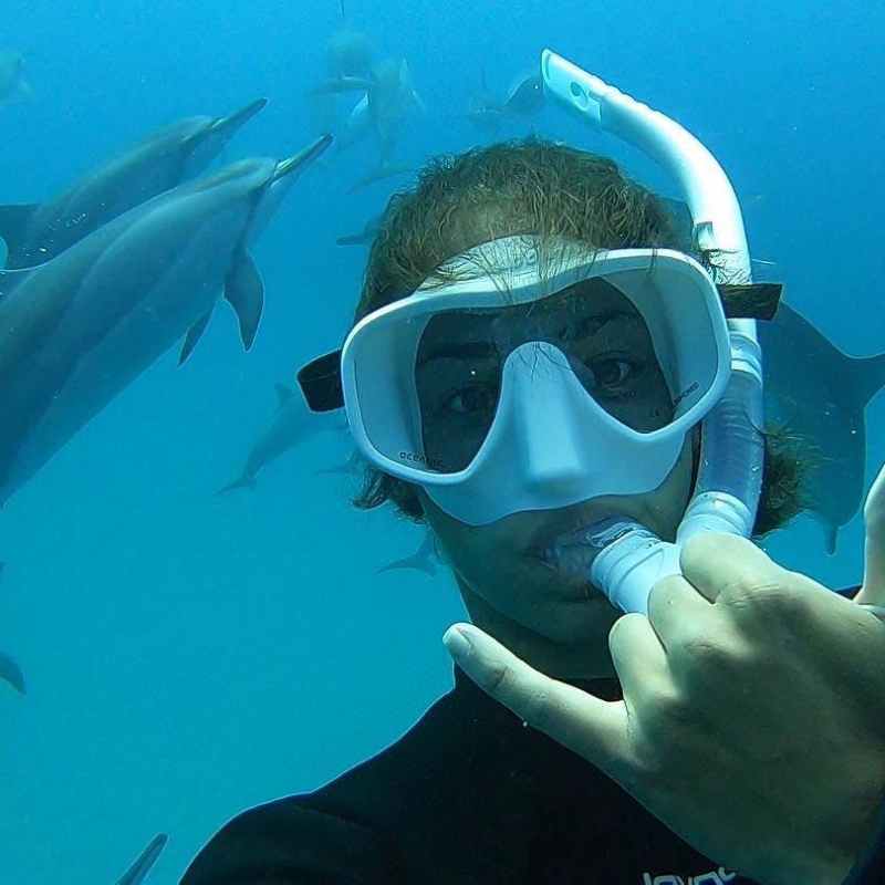 a bird swimming in water