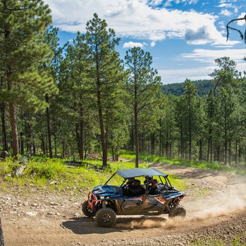 a motorcycle parked on a dirt path in a forest