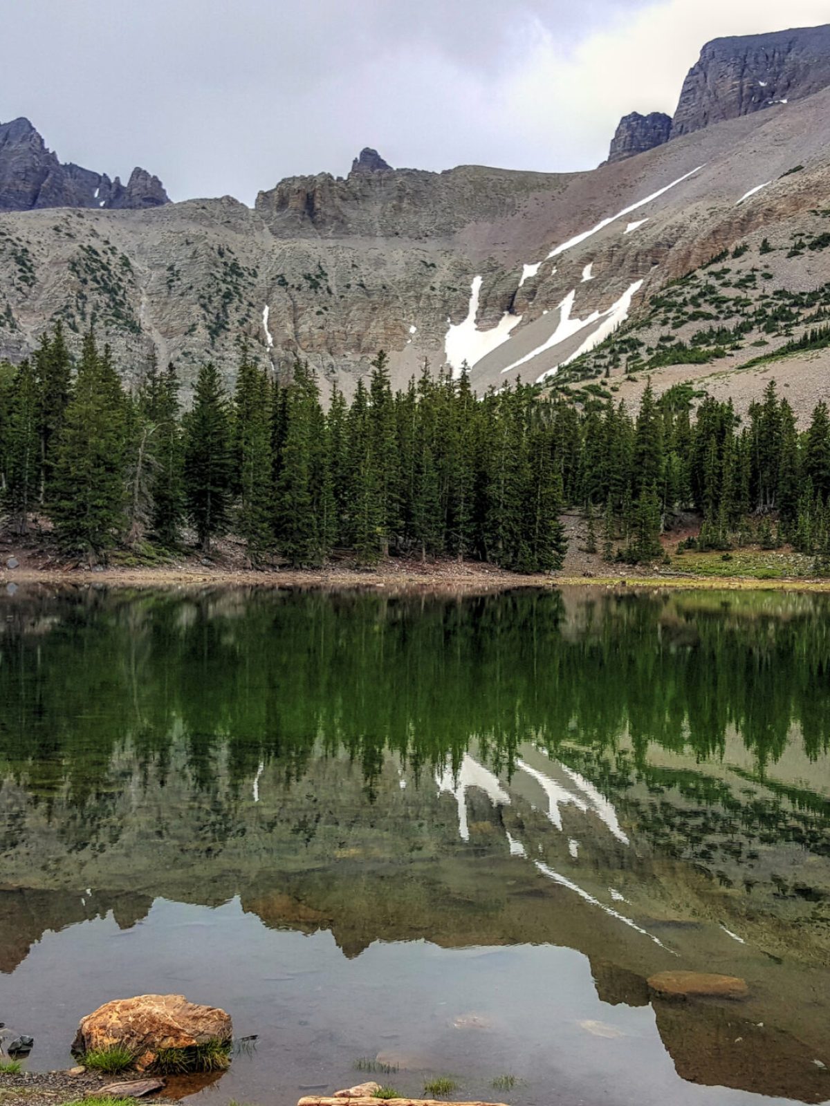 a close up of a hillside next to a body of water