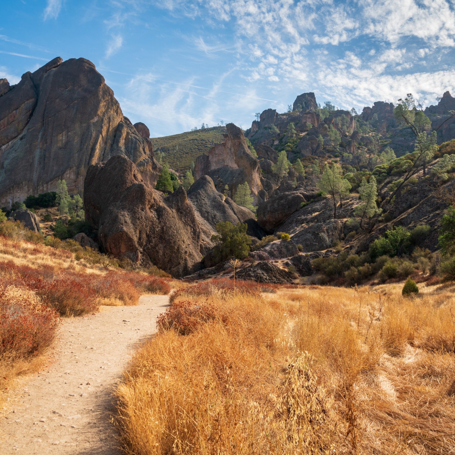 a canyon with a mountain in the background