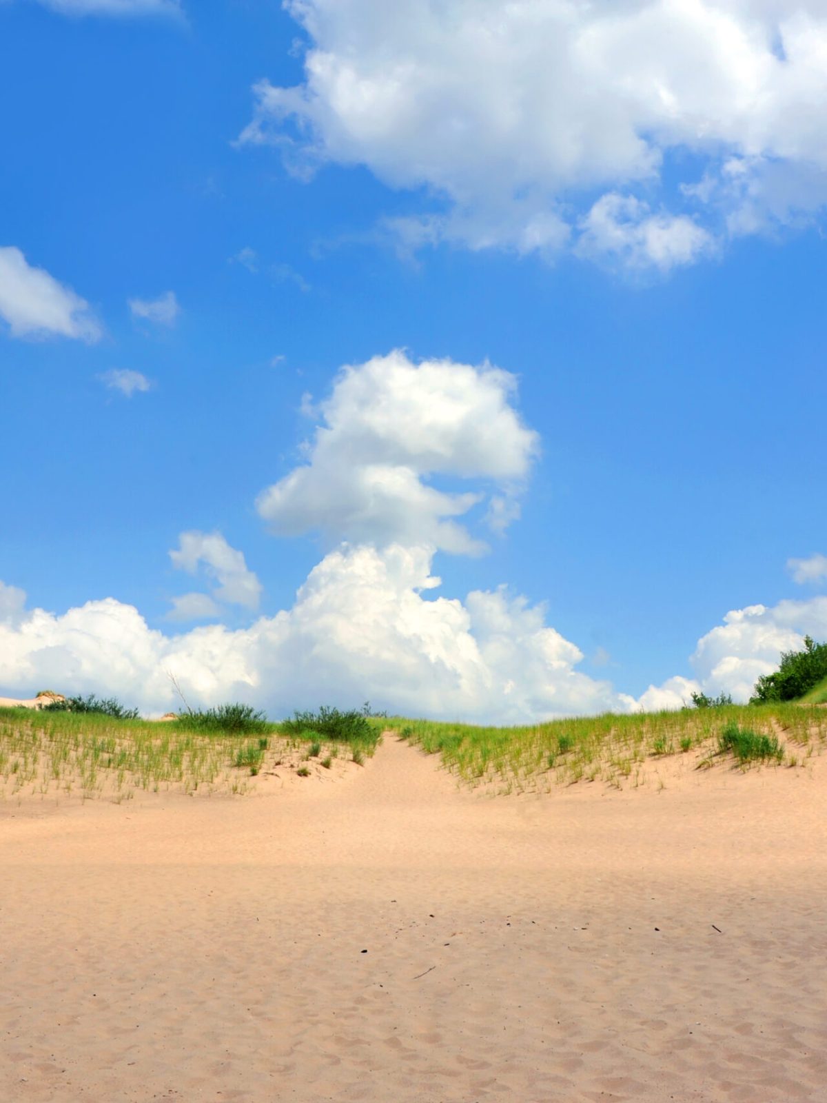 a close up of a sandy beach