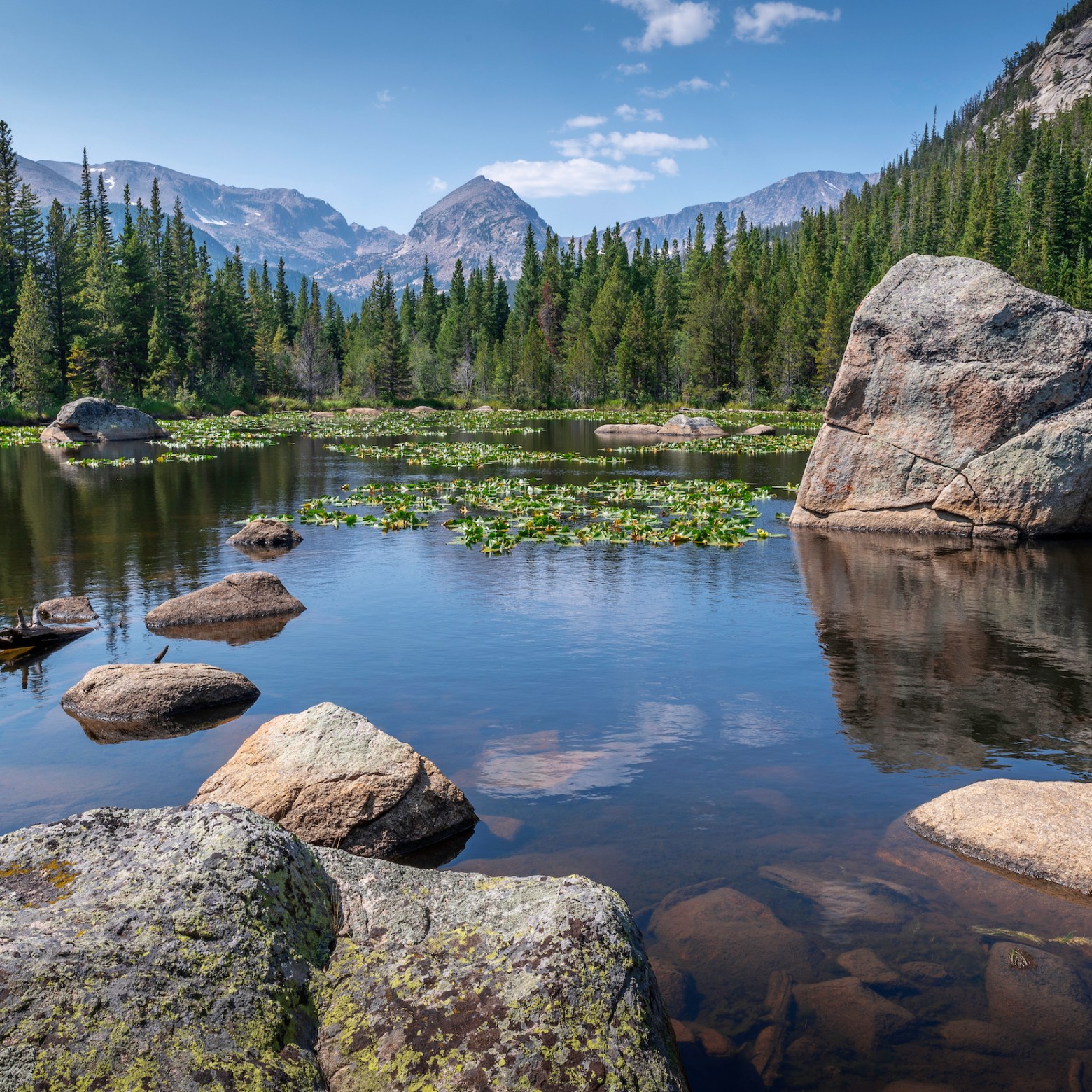 a rocky river with trees on the side of a mountain