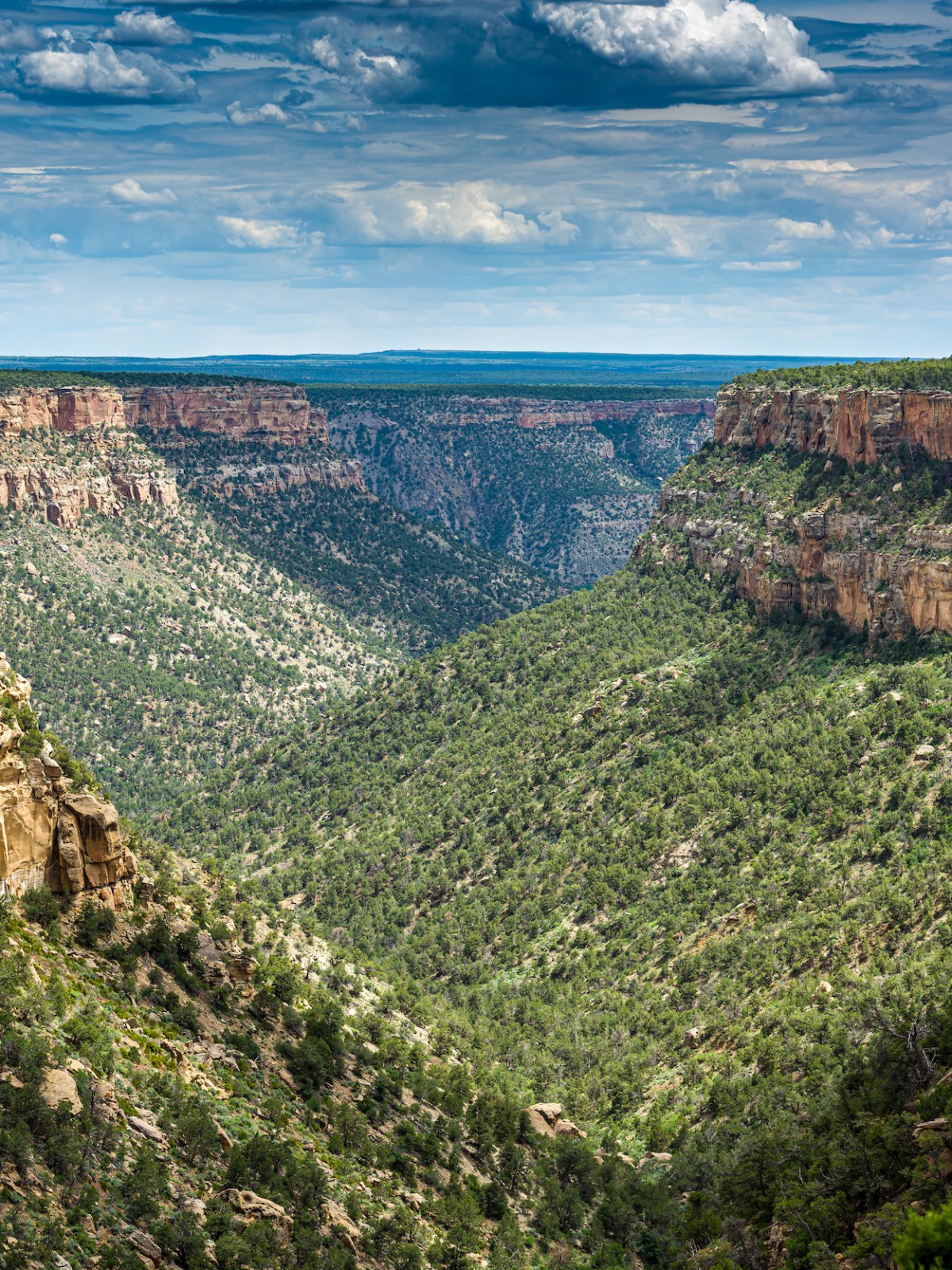a view of a canyon