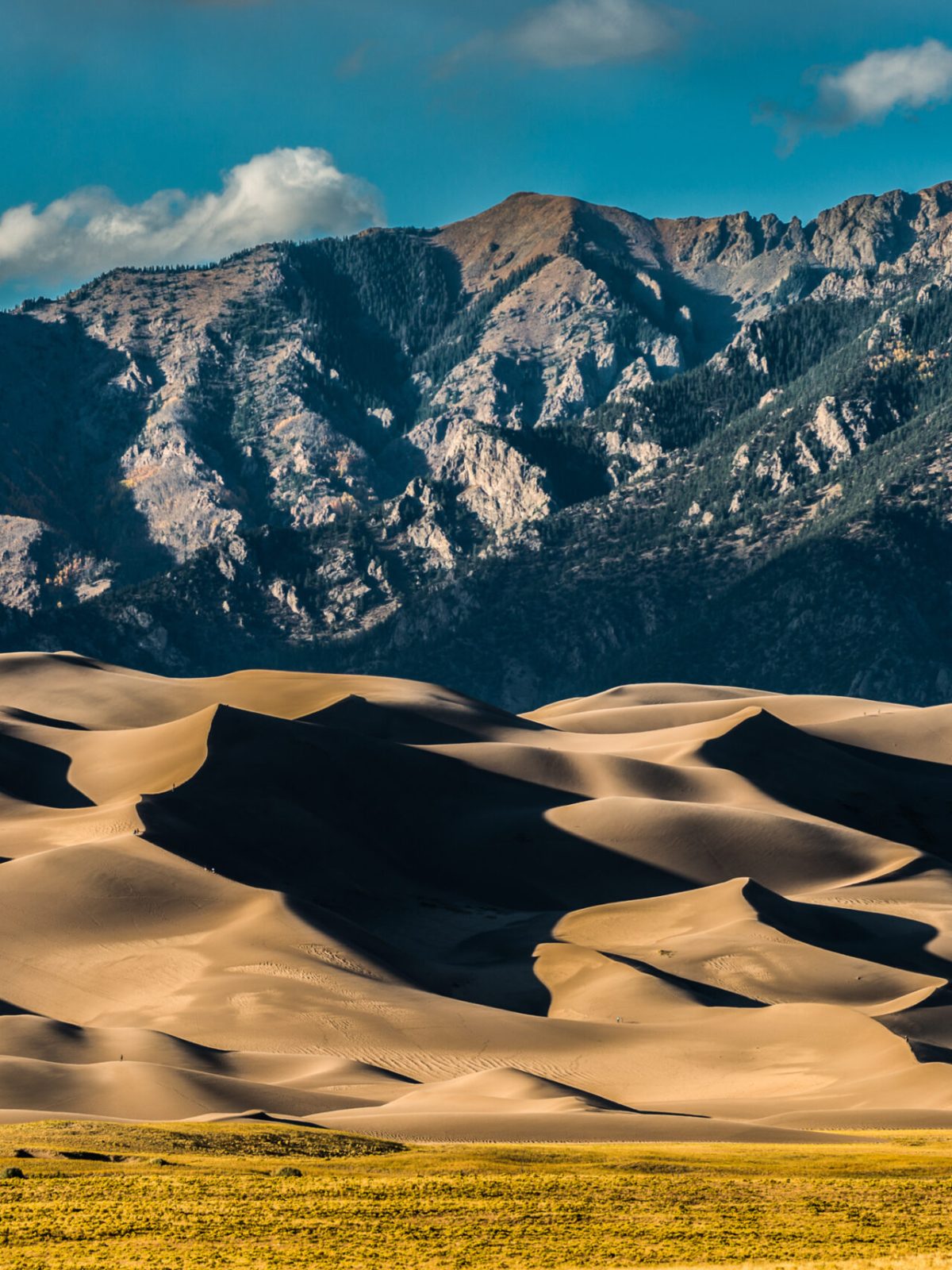 a flock of birds flying over a snow covered mountain with Great Sand Dunes National Park and Preserve in the background
