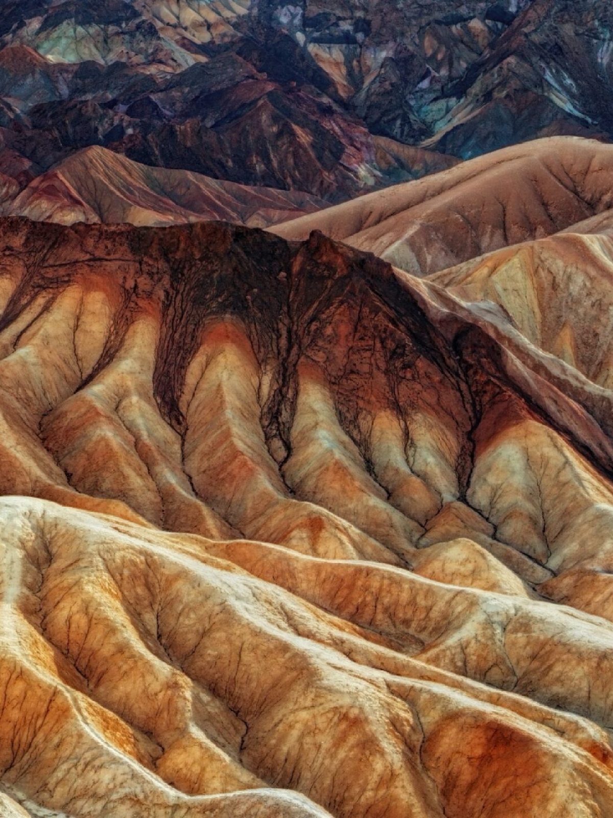 a canyon with a mountain in the background