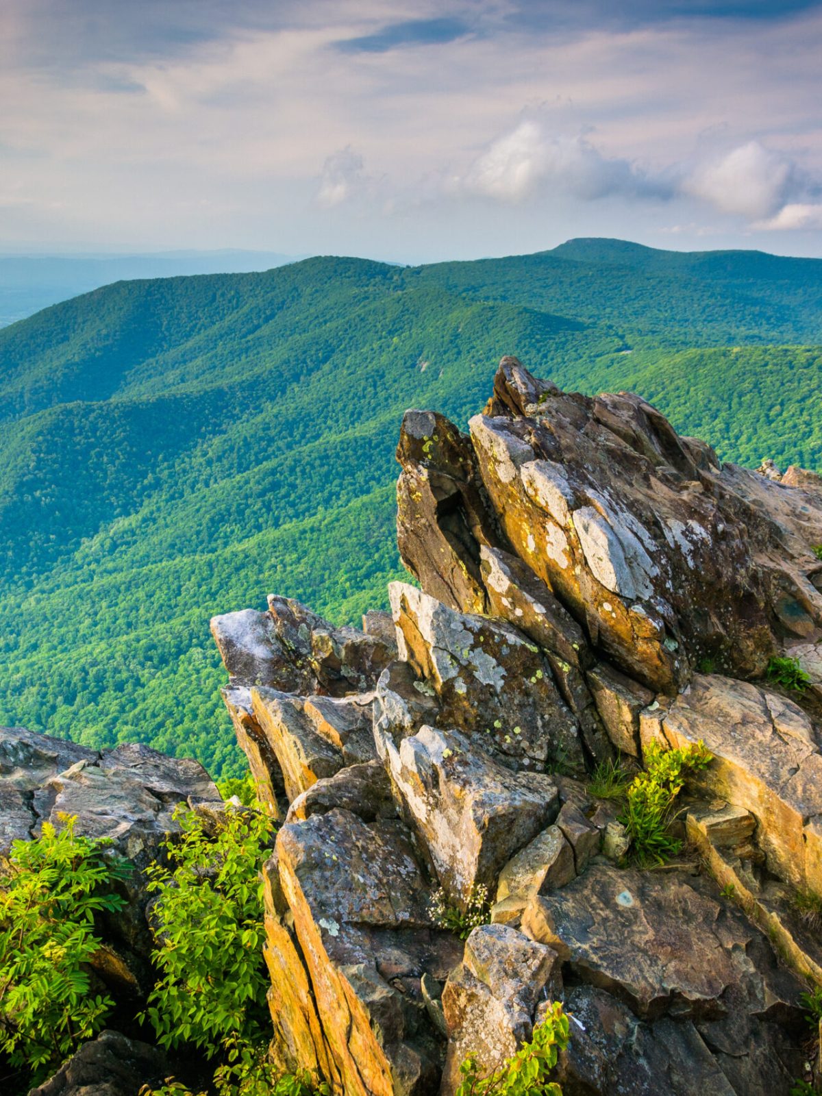 a rocky mountain with trees in the background