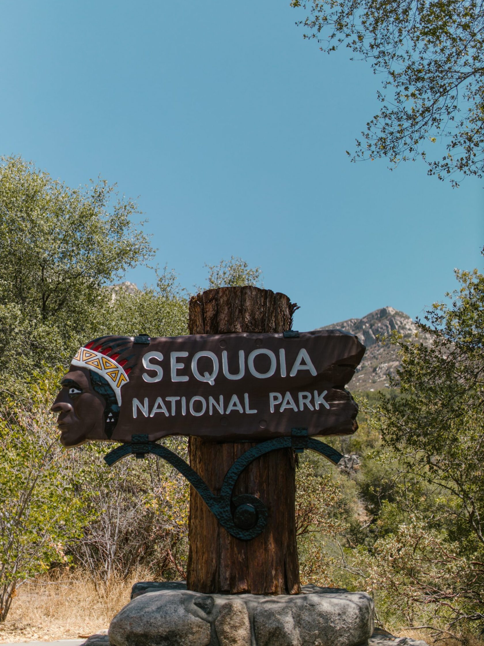 a sign on the side of a tree